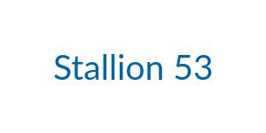 Marca Stallion 53